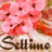 Settimo�ߥե���