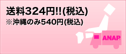 ANAPオンラインショップ3つのポイント