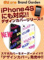 �ǥ����󥫥С�ȯ����!!