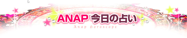 ANAP �������ꤤ