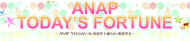 ANAP �������ꤤ