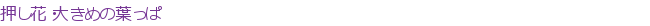 �����֡��礭����դä�