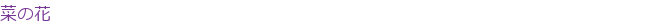 �ڤβ�