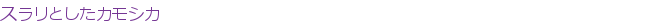 �����Ȥ������⥷��