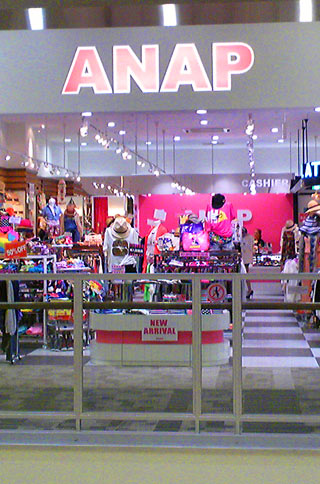 ANAP������⡼���;�����Ϥ