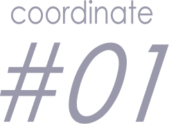 coordinate #01