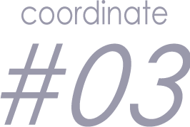coordinate #03