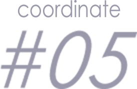coordinate #05