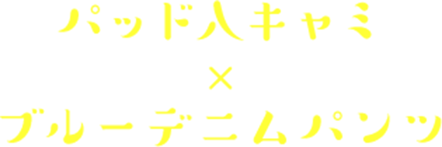 ѥåɿͥ x ֥롼ǥ˥ѥ