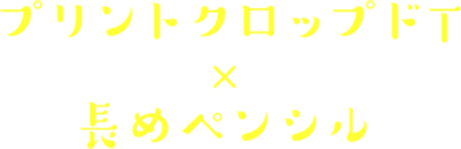 ץȥåץT x Ĺڥ󥷥