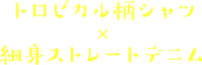 ȥԥ x ٸȥ졼ȥǥ˥