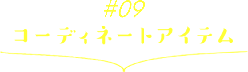 09ǥ͡ȥƥ